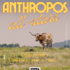 Live music event poster: Anthropos All-Stars live at Batch Craft Beer & Kolaches on Sunday, August 17th from 4-6 pm. Featuring an eclectic mix of music by the students, alumni, and musician mentors of Anthropos Arts as well as delicious kolaches and craft beer by Batch.